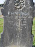 image of grave number 855347